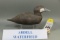 Ruddy Duck by Ardell Waterfield