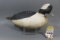 Chincoteague Bufflehead