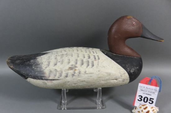 Canvasback by Jim Holly