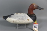 Canvasback by Jim Currier