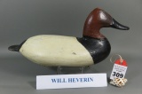 Canvasback by Will Heverin