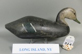 Black Duck from Long Island