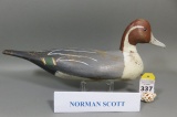 Pintail by Norman Scott