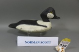 Goldeneye by Norman Scott