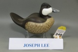 Ruddy Duck by Joseph Lee