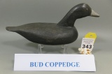 Coot by Bud Coppedge