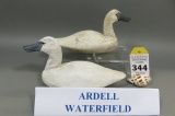 Swan Pair by Ardell Waterfield