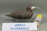 Ruddy Duck by Ardell Waterfield