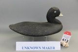 Unknown Coot