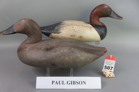 Canvasback Pair by Paul Gibson
