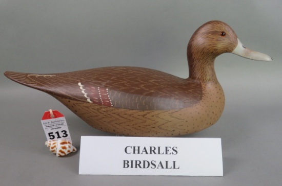 Pintail by Charles Birdsall