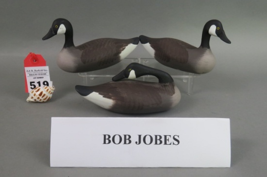 Canada Geese by Bob Jobes