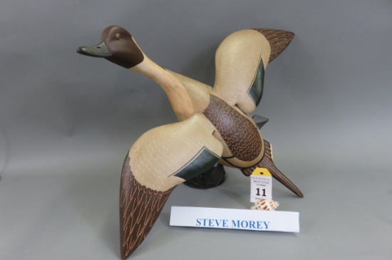 Flying Pintail by Steve Morey