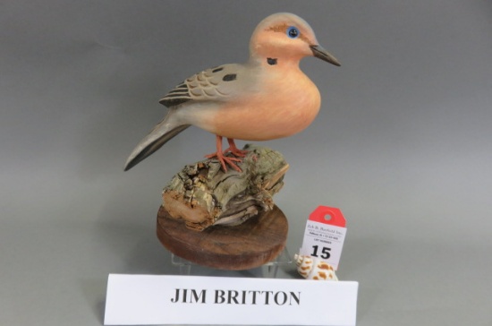 Morning Dove by Jim Britton