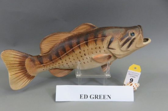 Largemouth Bass by Ed Green