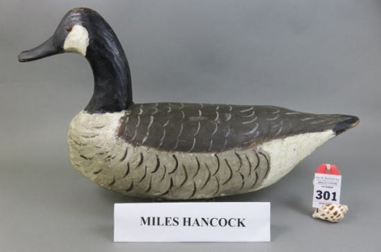 Canada Goose by Miles Hancock