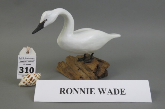 Swan by Ron Wade