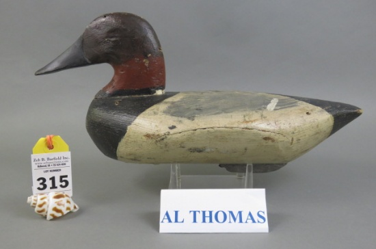 Canvasback by Al Thomas