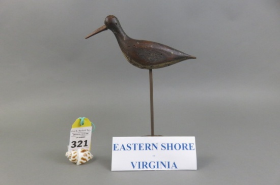 Shorebird from the ESVA