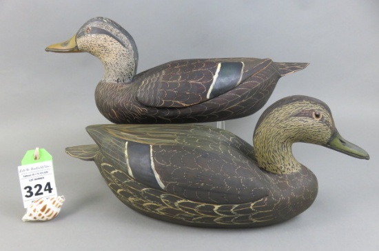 Black Duck Pair by PW Marshall