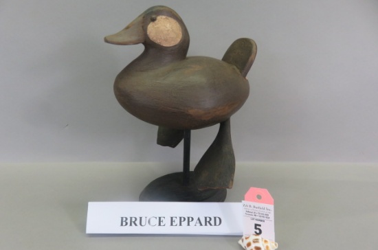 Ruddy Duck by Bruce Eppard