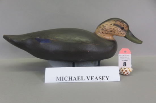 Black Duck by Mike Veasey