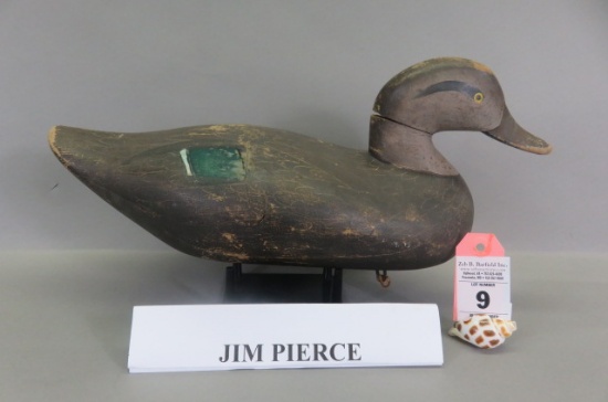 Black Duck by Jim Pierce