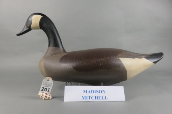 Canada Goose by Madison Mitchell