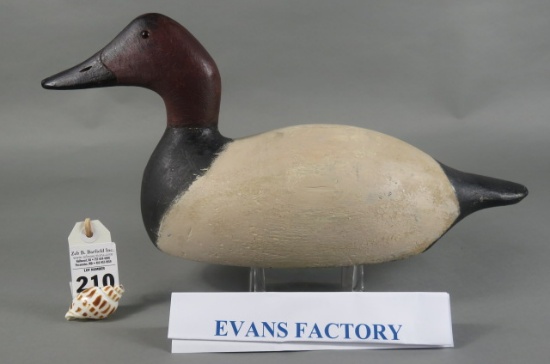 Canvasback from the Evans Factory