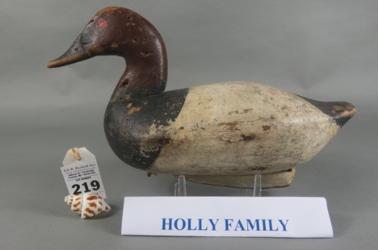 Canvasback by the Holly Family