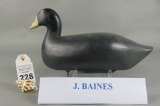 Coot by JE Baines