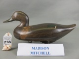 Black Duck by Madison Mitchell