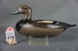 Gadwall in the Perdew Style