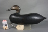 Black Duck by Clark Madera