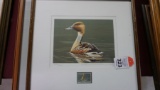 Lot of (4) Federal Duck Stamp Prints
