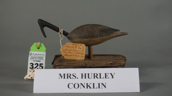 Roothead Sanderling by Mrs Hurley Conklin