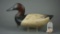 Upper Bay Canvasback