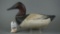 Upper Bay Canvasback