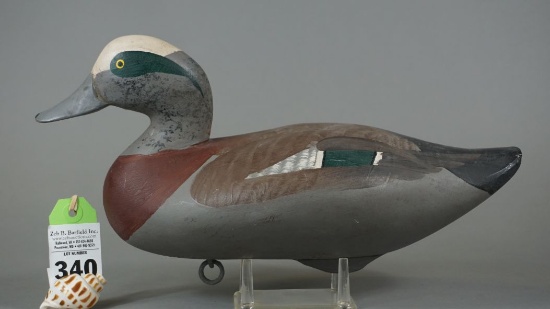 Widgeon by Madison Mitchell