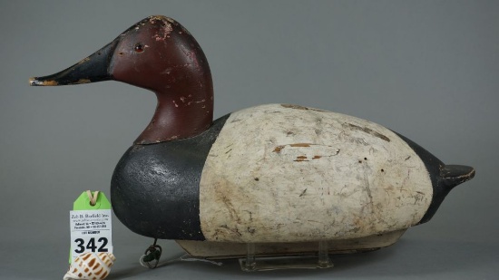 Canvasback by Charlie Meloche