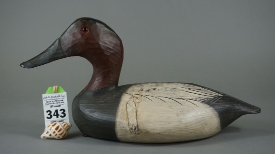 Canvasback by Tom Savage