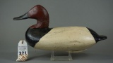 Upper Bay Canvasback