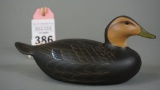 Black Duck by Capt Bill Collins