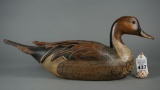 Pintail by Thomas Taber