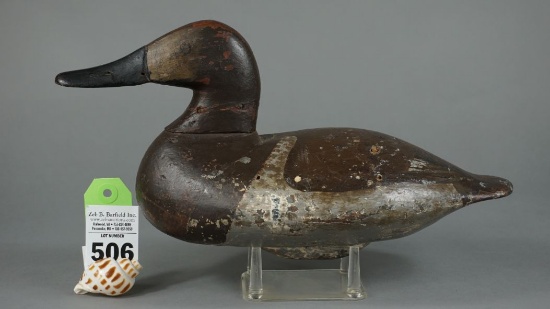 Canvasback by Ben Dye