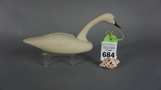 Swan by Herbie Rogers