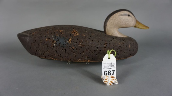 Black duck by Unknown