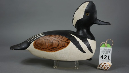 Merganser by Roe Terry