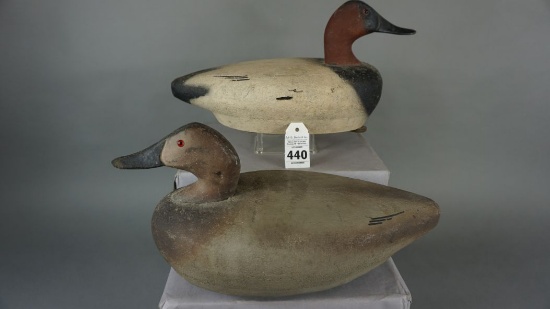 Canvasbacks from Susquehanna River