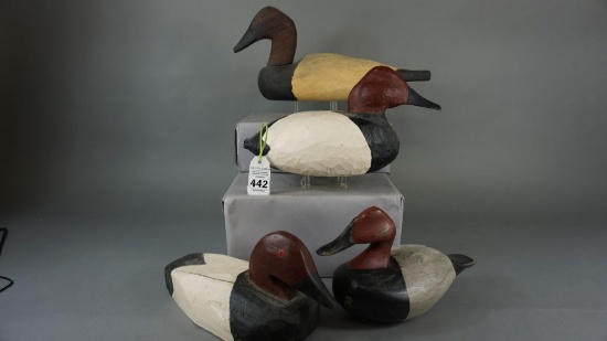 Canvasback Lot of Four